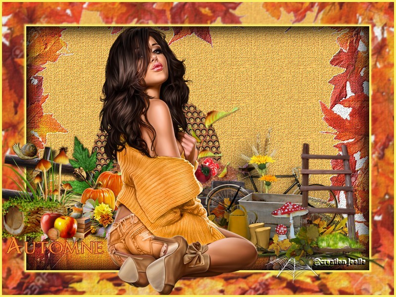 Image du Blog joellecreations.centerblog.net