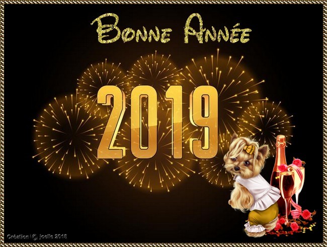 2019 : Les cartes de bons vœux reçues entre nous... 261220182019