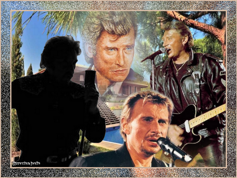 poupée johnny hallyday