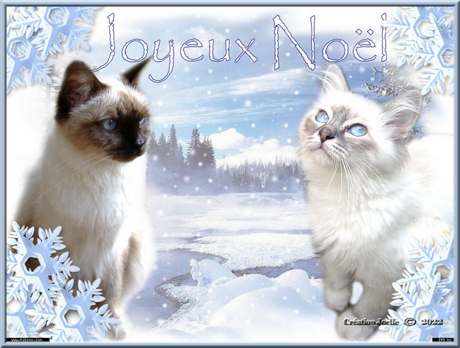 joyeux noêl