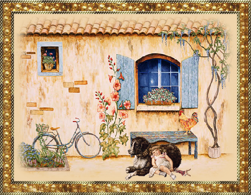 Le vieil homme et son chien - Centerblog